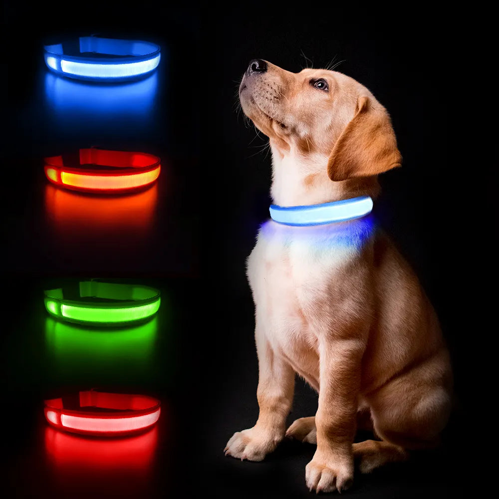 Luminous Dog Collar, Water poof