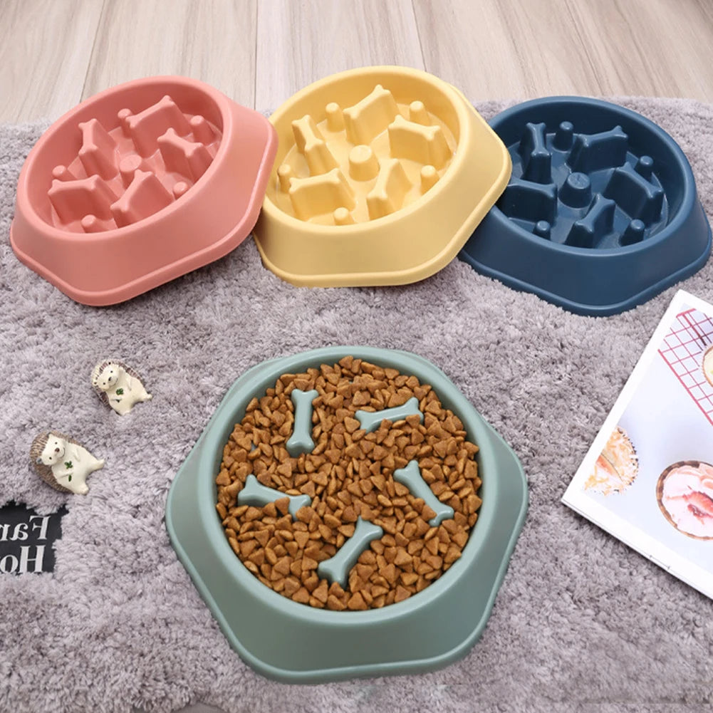 Dog Feeding Food Bowls