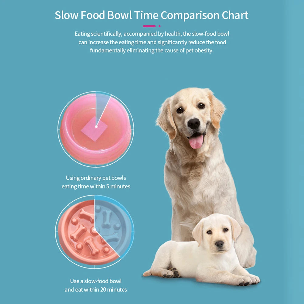 Dog Feeding Food Bowls