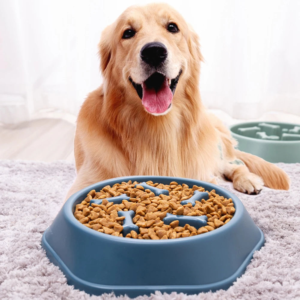 Dog Feeding Food Bowls