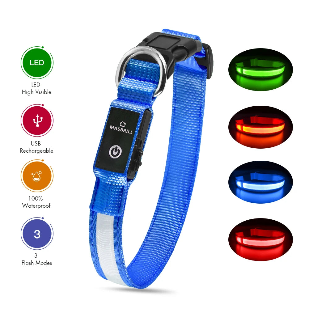 Luminous Dog Collar, Water poof