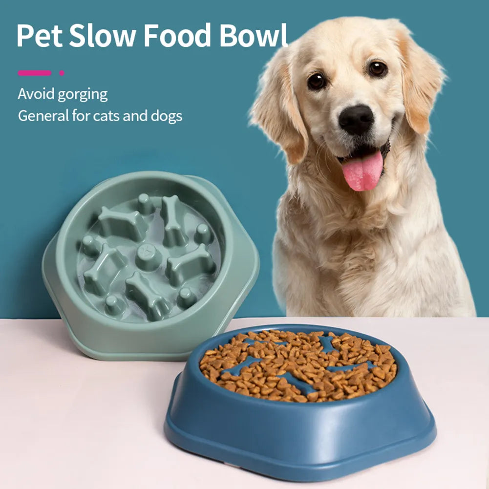 Dog Feeding Food Bowls