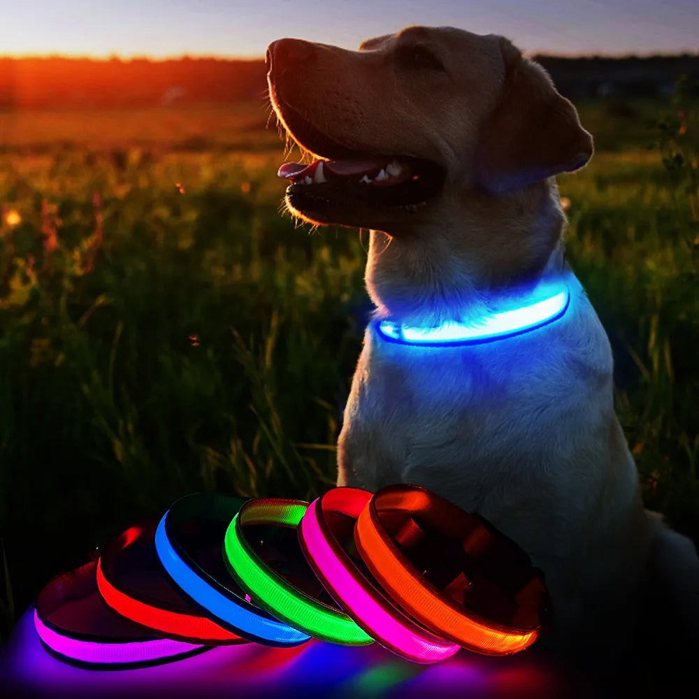 Luminous Dog Collar, Water poof