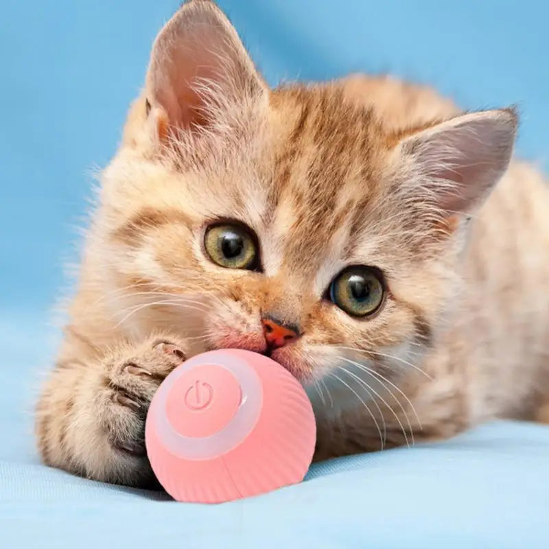 Rechargeable Cat Ball Toy, Smart Automatic Rolling Toy, 360 Degree Spinning Ball