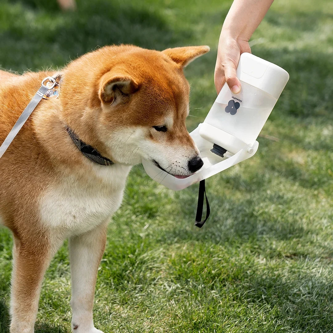 Water Bottle Convenient and Safe for Pets, Portable and Leak-Proof