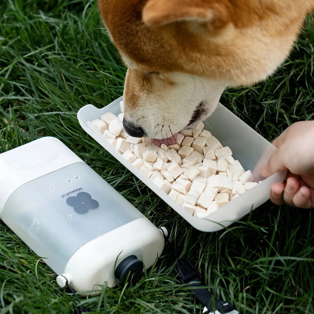 Water Bottle Convenient and Safe for Pets, Portable and Leak-Proof